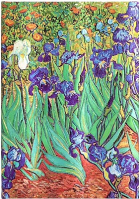 Блокнот Paperblanks Ван Гог Іриси середній 13 х 18 см нелінований