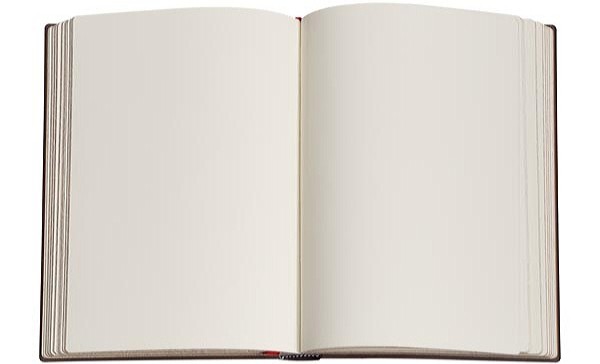 Блокнот Paperblanks Ван Гог Іриси середній 13 х 18 см нелінований