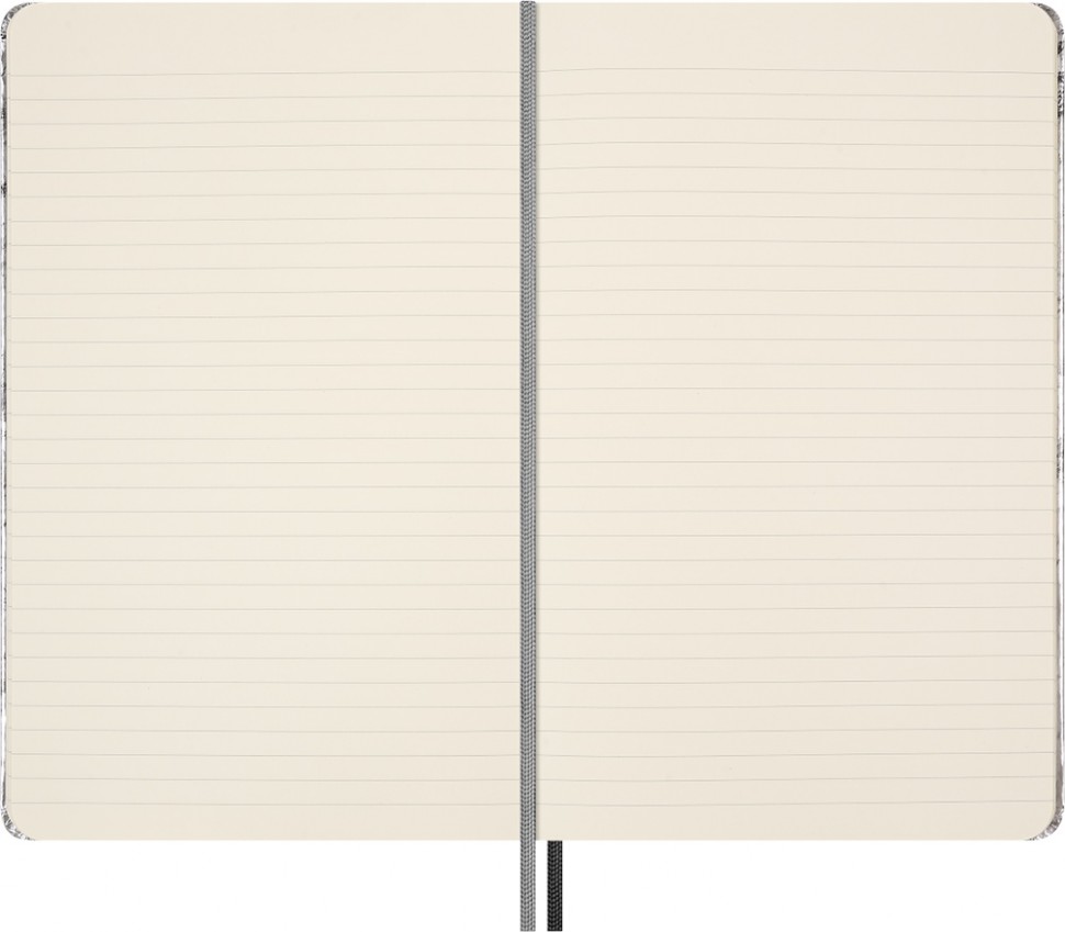 Подарунковий набір Moleskine NASA