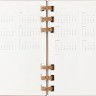 Щотижневик Moleskine 2025 Spiral середній 13 х 21 см мигдальний