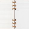 Щотижневик Moleskine 2025 Spiral середній 13 х 21 см мигдальний