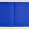 Блокнот Nuuna Not White Blue 16,5 x 20 см з синіми сторінками 
