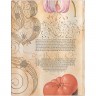 Блокнот Paperblanks Ботанічні Дива Лілія Мартагон Flexi великий 18 х 23 см нелінований