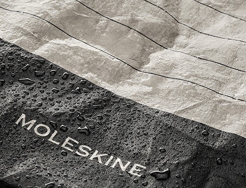 Сумка Moleskine Go Shopper Лінія