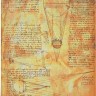 Блокнот Paperblanks Манускрипти Леонардо да Вінчі Нариси Flexi великий 18 х 23 см в лінію