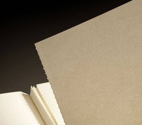 Блокнот Leuchtturm1917 Muted Colours середній 14,5 х 21 см в крапку пудровий