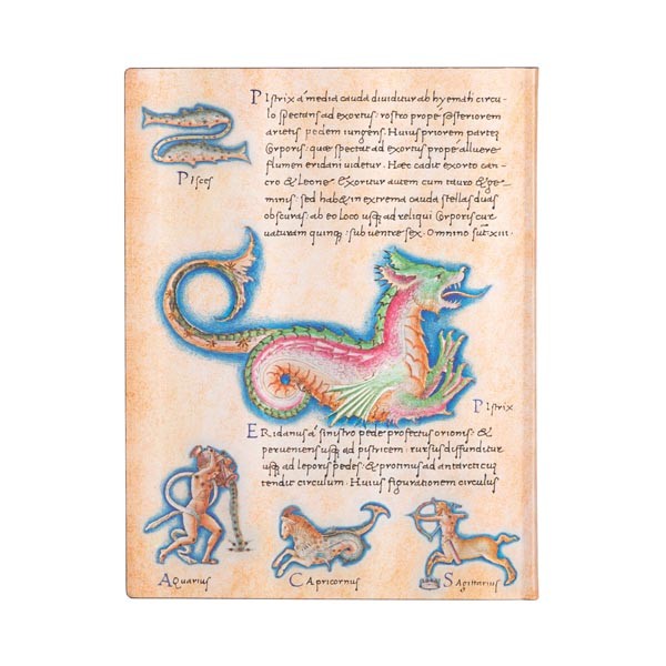 Блокнот Paperblanks Астрономіка De Sideribus Tractatus Flexi великий 18 х 23 см в лінію 