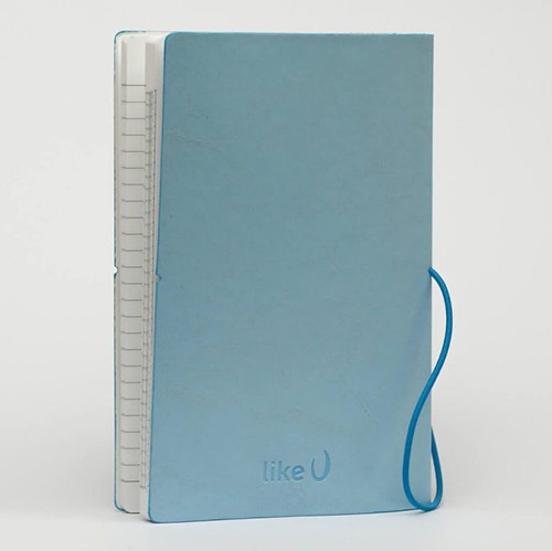 Блокнот Like U Flowers Гортензія 2в1 в лінію та клітинку