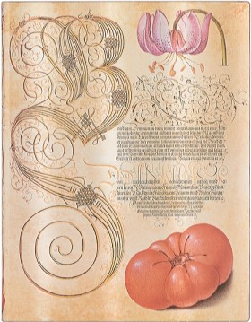 Блокнот Paperblanks Ботанічні Дива Лілія Мартагон Flexi середній 13 х 18 см в лінію