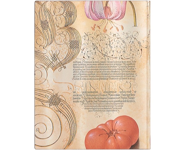 Блокнот Paperblanks Ботанічні Дива Лілія Мартагон Flexi середній 13 х 18 см в лінію