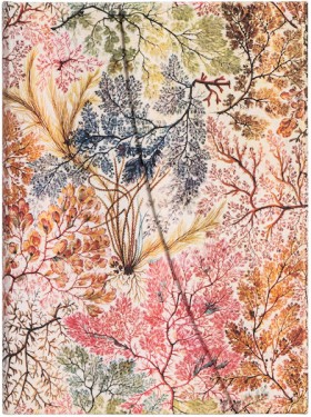 Блокнот Paperblanks Анемона середній 12,5 х 18 см в лінію