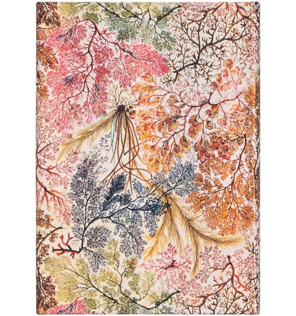 Блокнот Paperblanks Анемона середній 12,5 х 18 см в лінію