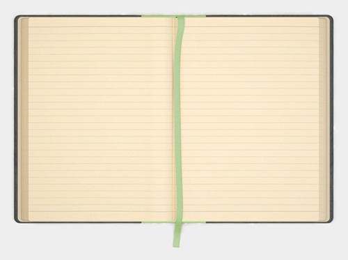 Блокнот Like U PRO в лінію Чорний з салатовим