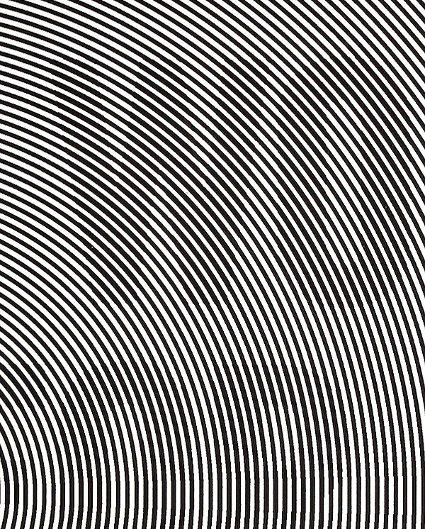 Блокнот Nuuna Graphic I Work For Idiots 16,5 х 22 см в крапку