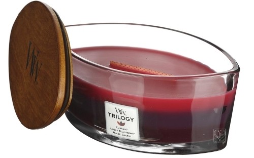 Ароматична свіча WoodWick Ellipse Trilogy Sun Ripened Berries 453 г