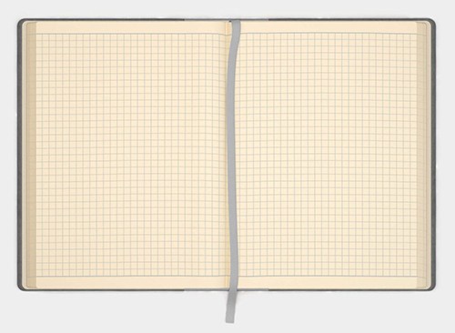 Блокнот Like U PRO в клітинку Сірий