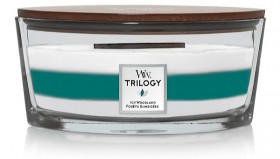 Ароматична свіча WoodWick Ellipse Trilogy Icy &amp; Woodland 453 г