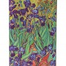 Блокнот Paperblanks Ван Гог Іриси кишеньковий 9 х 14 см в лінію