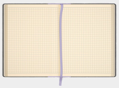 Блокнот Like U PRO в клітинку Сірий з фіолетовим