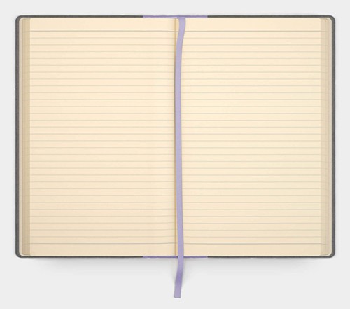 Блокнот Like U PRO В5 в лінію Сірий з фіолетовим 