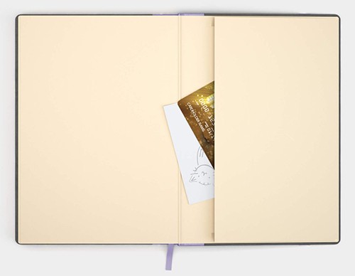 Блокнот Like U PRO В5 в лінію Сірий з фіолетовим 