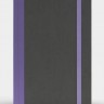 Блокнот Like U PRO В5 в лінію Сірий з фіолетовим 