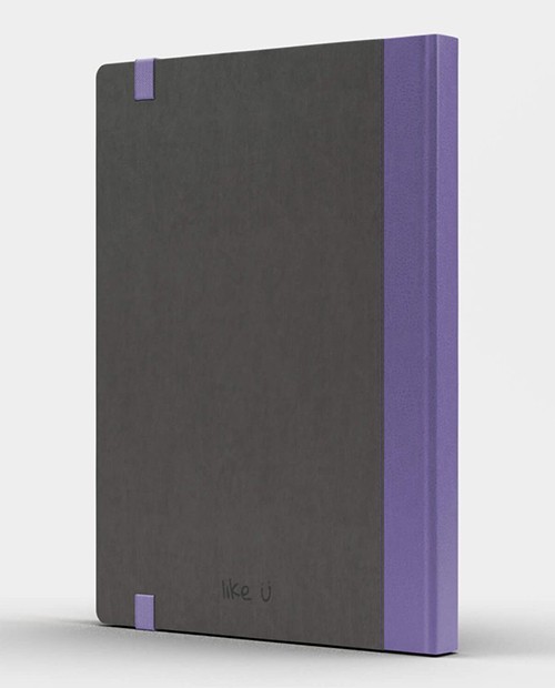Блокнот Like U PRO В5 в лінію Сірий з фіолетовим 