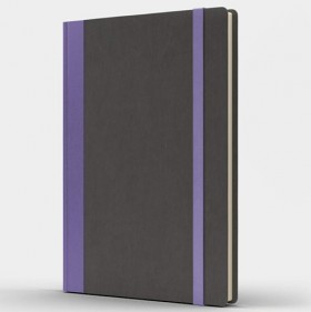 Блокнот Like U PRO В5 в лінію Сірий з фіолетовим 
