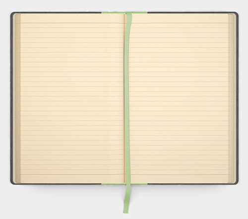 Блокнот Like U PRO В5 в лінію Чорний з салатовим