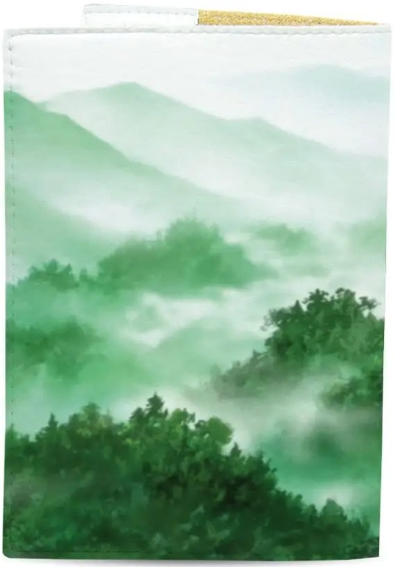  Обкладинка для паспорта Just Cover Travelling 