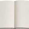 Блокнот Paperblanks Пасіфіка Залізний Кінь великий 17,5 х 23 см нелінований